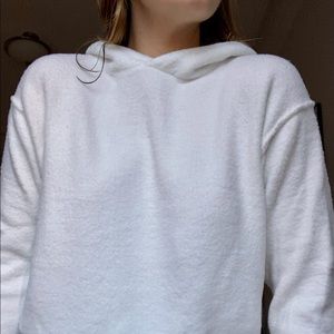 Aritzia Hoodie
